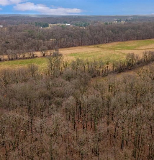 Professional plumber serving Woodbine, MD and Carroll County